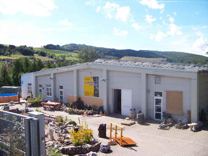 Halle